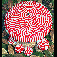 LabyChampignon II