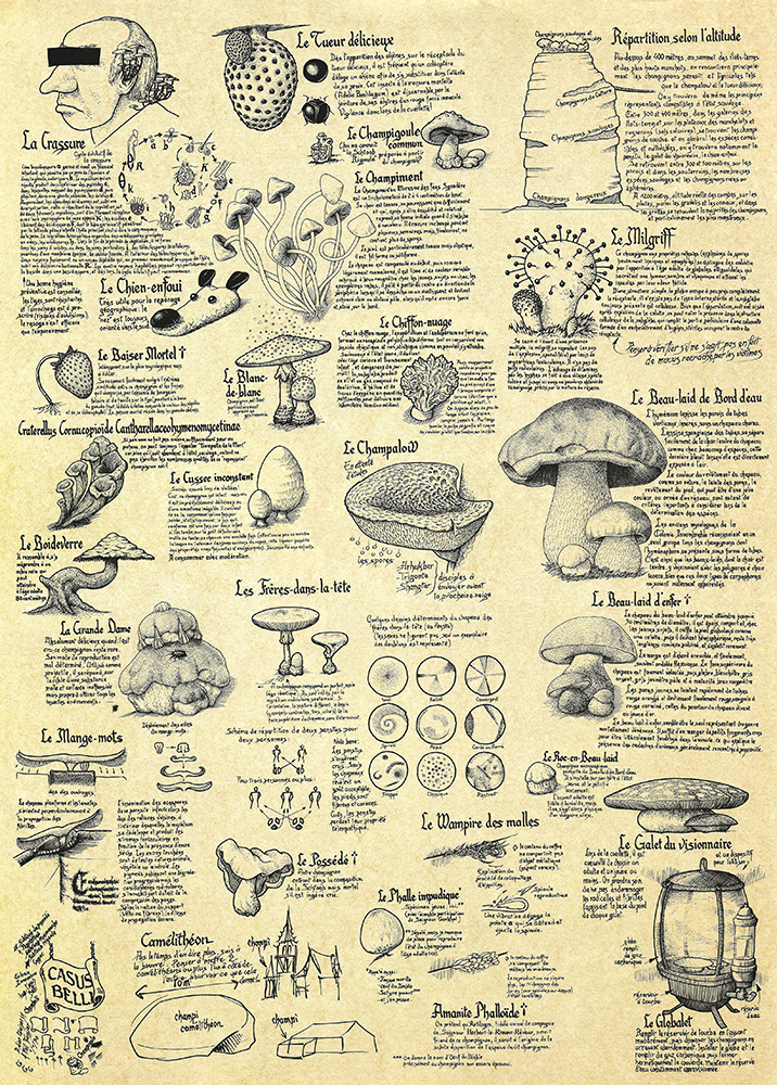 Agrandissement Poster Champignons